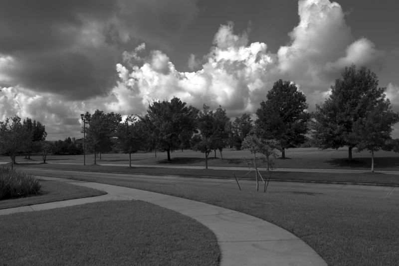 Illustration for article titled I'm still new to photography but here are some pics I took today!
